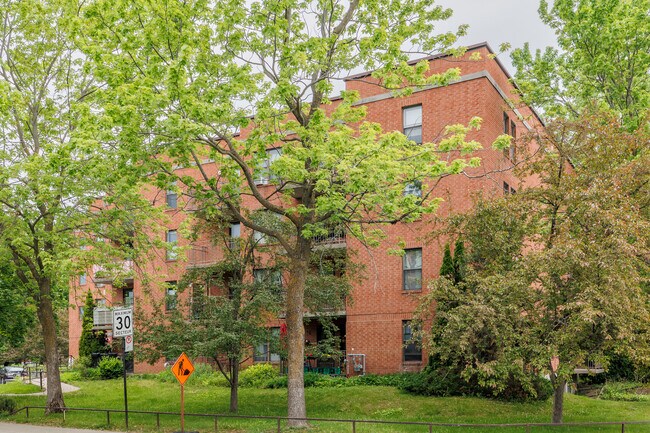 10211 Meilleur Rue in Montréal, QC - Building Photo - Building Photo