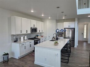 17350 Gandy Dancer Ln in Parker, CO - Building Photo - Building Photo