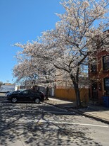 409 S Spring St, Unit #3 in Baltimore, MD - Building Photo