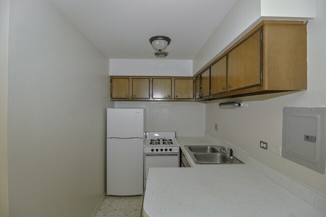 663 W Wrightwood in Chicago, IL - Foto de edificio - Building Photo