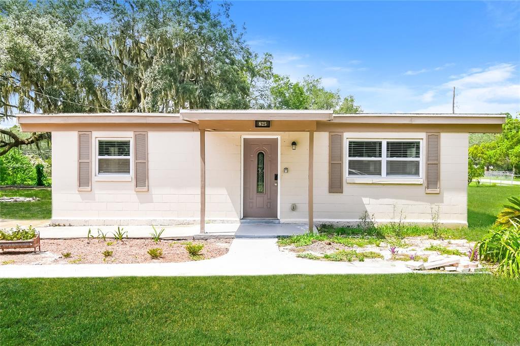 825 E Jackson Ave in Mount Dora, FL - Building Photo