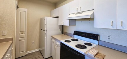 17101 Carrington Park Dr in Tampa, FL - Building Photo - Building Photo