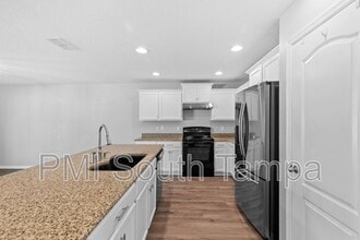 10602 Massimo Dr in Wimauma, FL - Building Photo - Building Photo