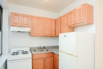1742 N Humboldt Blvd in Chicago, IL - Building Photo - Building Photo