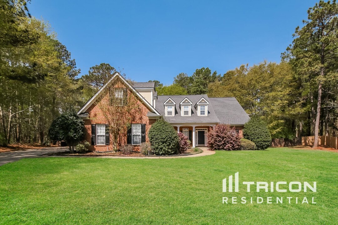 325 Harvest Run in Mcdonough, GA - Building Photo