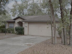 10045 SW 188th Cir in Dunnellon, FL - Building Photo