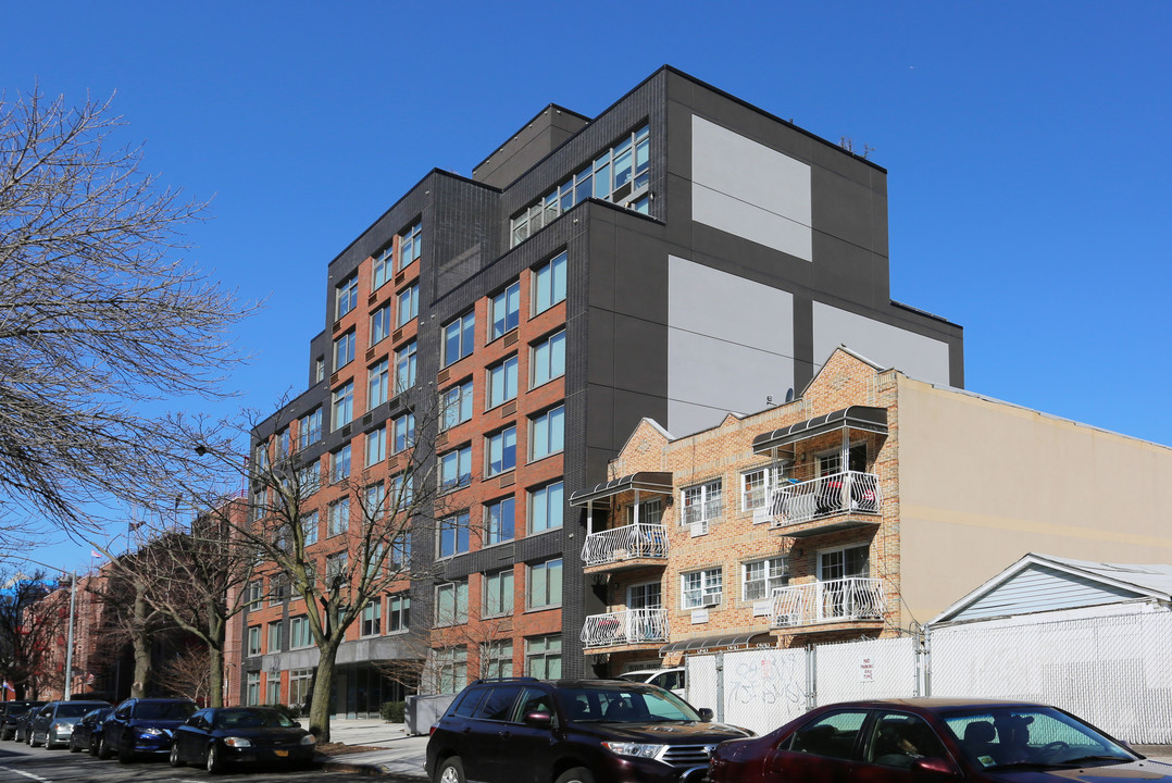 Parkhill City in Jamaica, NY - Building Photo