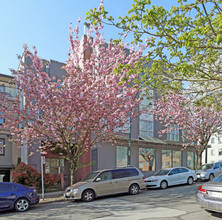 Shaughnessy Heights in Vancouver, BC - Building Photo - Building Photo