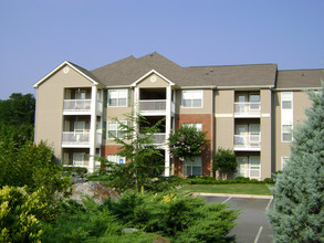 Beechwood Pines in Athens, GA - Building Photo - Building Photo