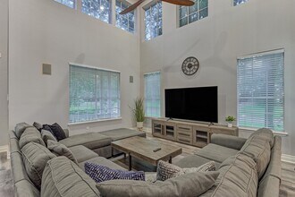 18 Heather Wisp Ct in The Woodlands, TX - Building Photo - Building Photo