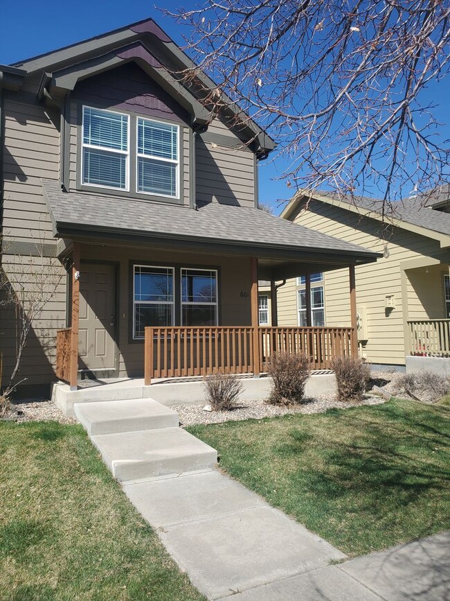 601 Ebon Pica St in Fort Collins, CO - Building Photo - Building Photo