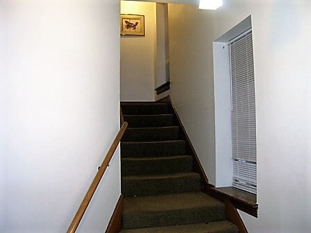 4908 Washington Ave in St. Louis, MO - Building Photo - Building Photo