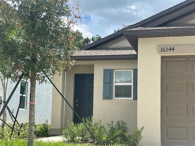 36544 Smithfield Ln, Unit 20975 in Zephyrhills, FL - Building Photo - Building Photo