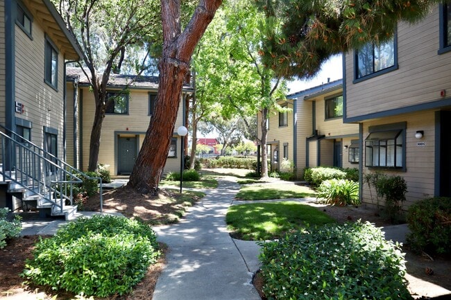 property at 6009 Joaquin Murieta Ave