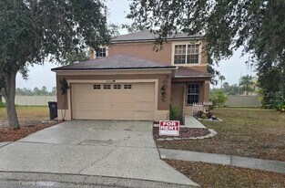 18002 Birdwater Dr in Tampa, FL - Building Photo