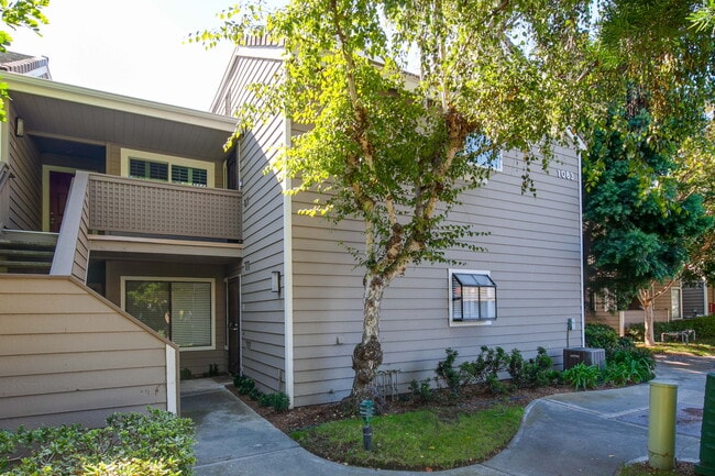 1083 Shadowridge Dr in Vista, CA - Building Photo - Building Photo