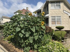 225 Sickles Ave, Unit 1 in New Rochelle, NY - Building Photo