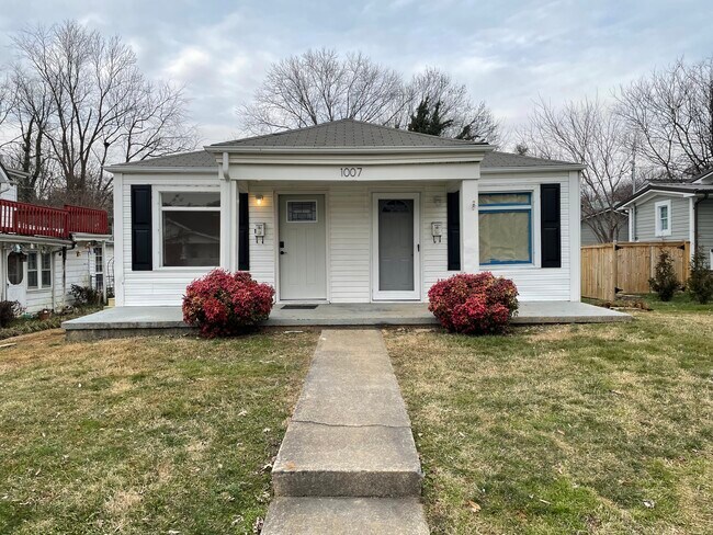 1007 E Unaka Ave in Johnson City, TN - Building Photo - Building Photo