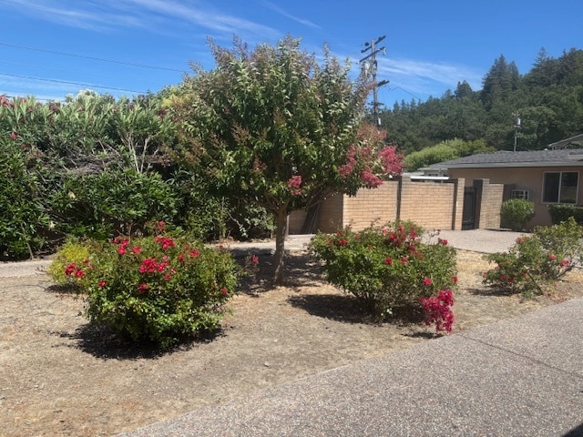 3751 Mosswood Dr, Unit 3751 Mosswood Dr Lafayett