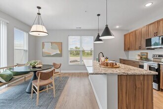 Townhomes at Preserve in Rogers, MN - Foto de edificio - Building Photo
