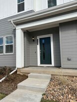 5392 Euclid Dr in Timnath, CO - Building Photo