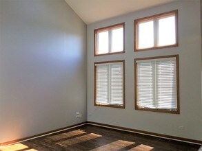 262 Lakeview Ct in Steger, IL - Foto de edificio - Building Photo