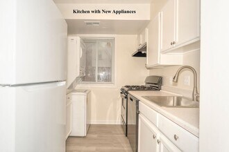 14 Halley Pl SE in Washington, DC - Building Photo - Building Photo