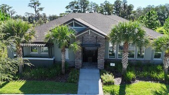 15817 Tollington Aly in Winter Garden, FL - Building Photo