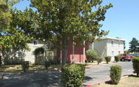 Bridgeport Court Apartments in San Jose, CA - Building Photo - Building Photo