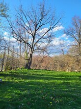 85 Sherman St, Unit Apt 1 in Norwich, CT - Building Photo - Building Photo