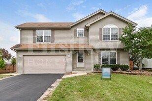 1410 Wood Duck Ln in Plainfield, IL - Building Photo