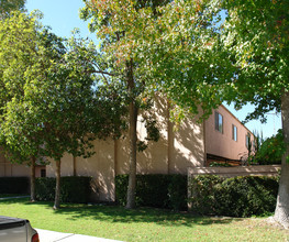 14251 Chestnut St in Westminster, CA - Building Photo - Building Photo