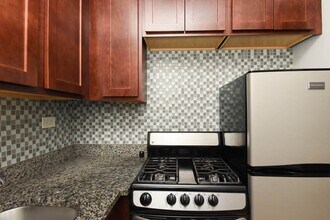 553 W Arlington Pl in Chicago, IL - Building Photo - Building Photo