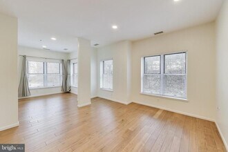 343 Cedar St NW in Washington, DC - Building Photo - Building Photo