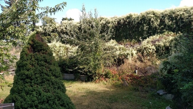 1111 S Baker St in Moses Lake, WA - Building Photo - Building Photo