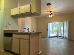 13116 Sanctuary Cove Dr in Temple Terrace, FL - Building Photo - Building Photo