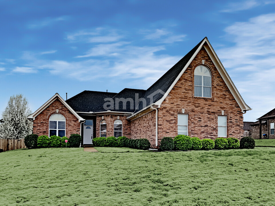 10620 3 Wishes Dr in Olive Branch, MS - Building Photo