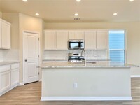 381 Blue Oasis Ln in Leander, TX - Building Photo - Building Photo