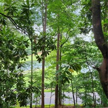 405 Sconti Ridge in Big Canoe, GA - Foto de edificio - Building Photo