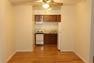 1329 N Dearborn St in Chicago, IL - Building Photo - Building Photo