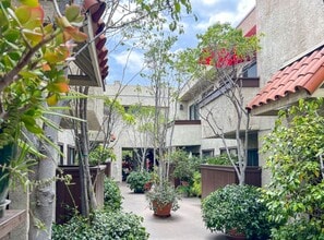 11825 Magnolia Apartments in North Hollywood, CA - Foto de edificio - Building Photo