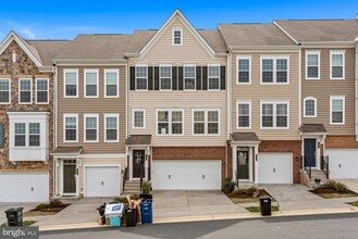 45025 Graduate Terrace in Ashburn, VA - Building Photo - Building Photo