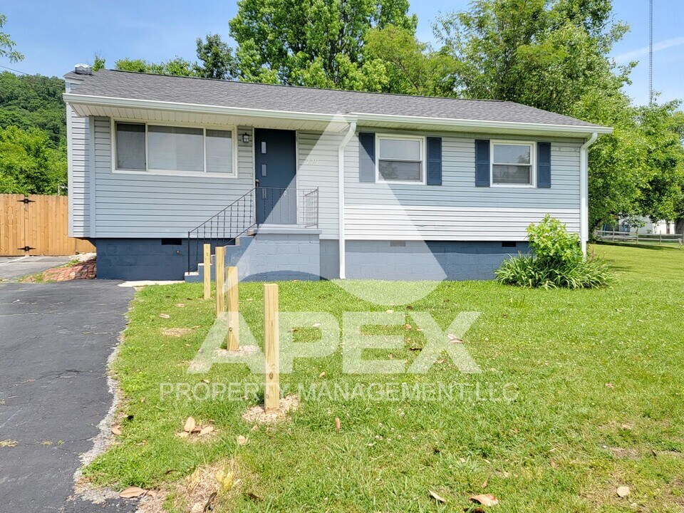 229 Chickamauga Ave in Knoxville, TN - Building Photo