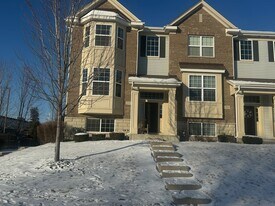 2995 Henley Ln in Naperville, IL - Building Photo
