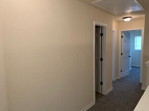 16833 Showdown Path in Schertz, TX - Building Photo - Building Photo