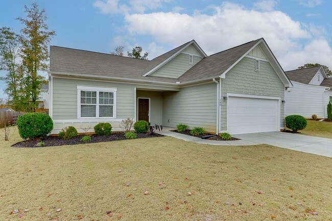 145 Alexander Ln in Bethlehem, GA - Building Photo - Building Photo