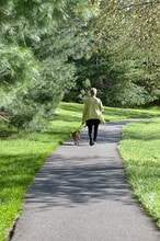 Spring Ridge Senior 62+ Apartments in Frederick, MD - Foto de edificio - Building Photo
