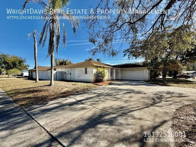4223 Summerdale Dr in Tampa, FL - Building Photo - Building Photo