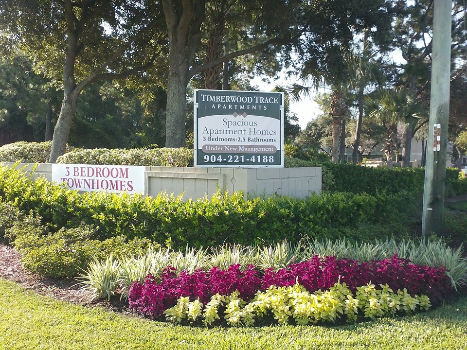 Timberwood Trace Apartments in Jacksonville, FL - Building Photo