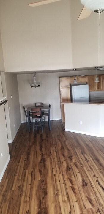 555 Cougar Bluff Point in Colorado Springs, CO - Building Photo